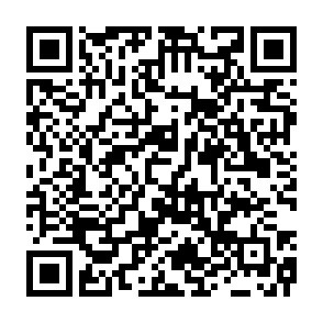 申込み専用サイトQRコードの画像